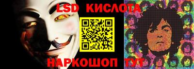 прущие грибы Пушкино