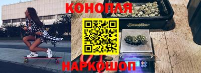 прущие грибы Пушкино