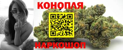 прущие грибы Пушкино
