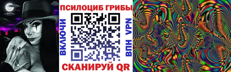 Псилоцибиновые грибы Cubensis  Кинешма 