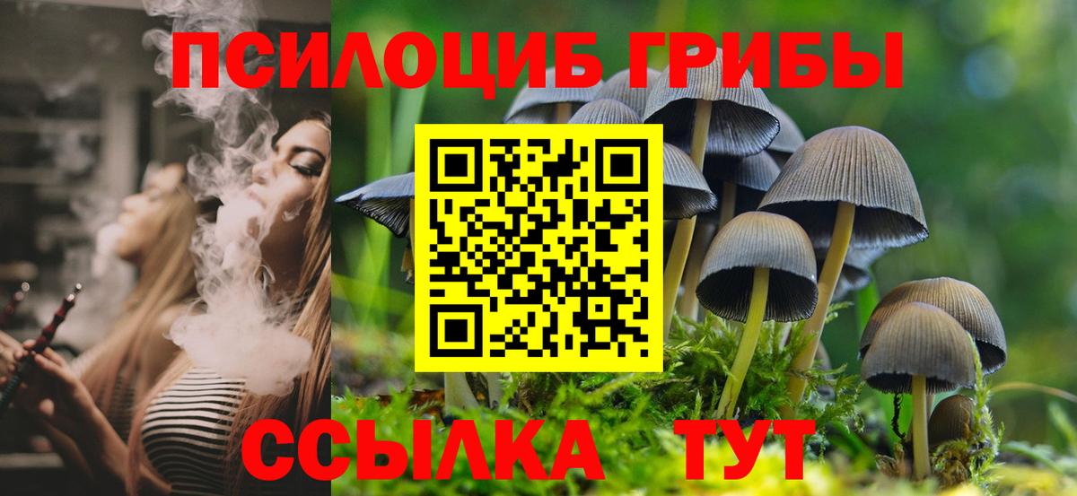 Псилоцибиновые грибы мицелий Кинешма